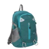 New Rebels Kinley Omaha Petrol 20L Rugtas